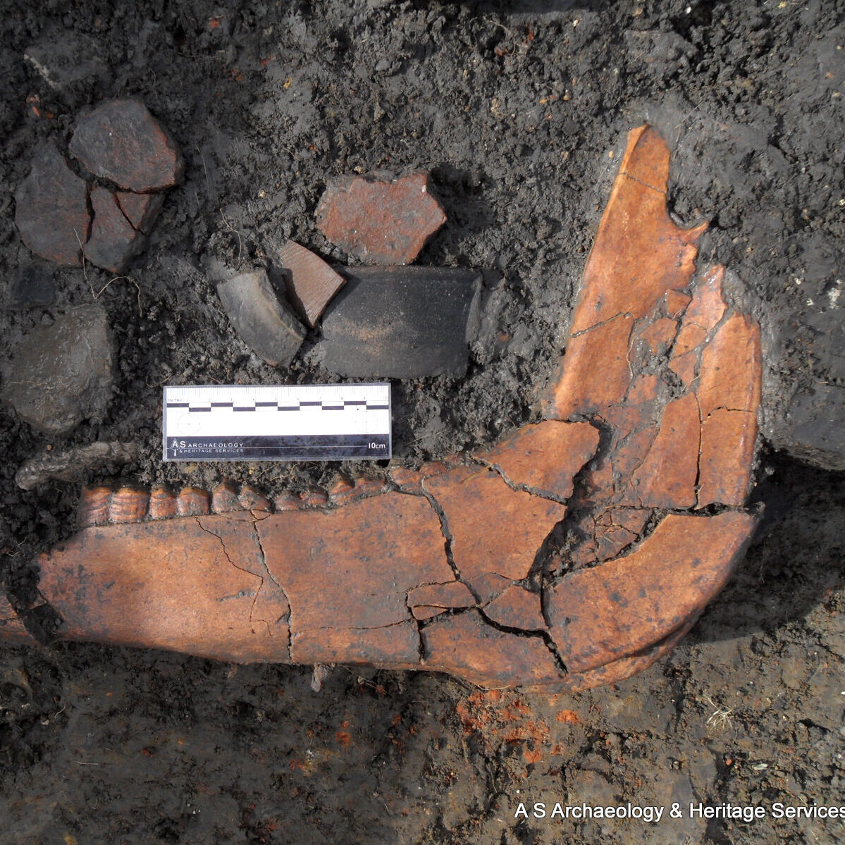 Romano-British finds following written scheme of investigation